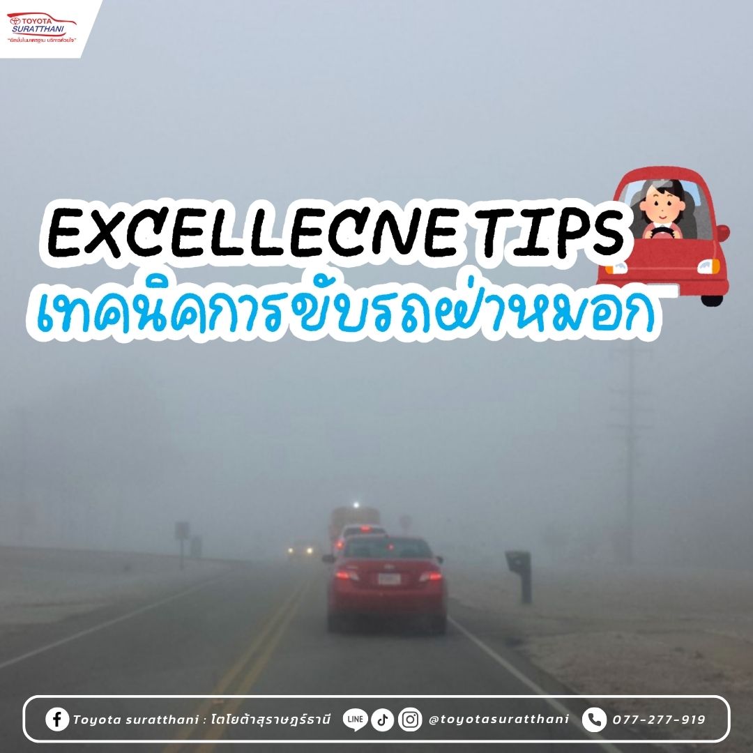 EXCELLECNE TIPS! เทคนิคการขับรถฝ่าหมอก